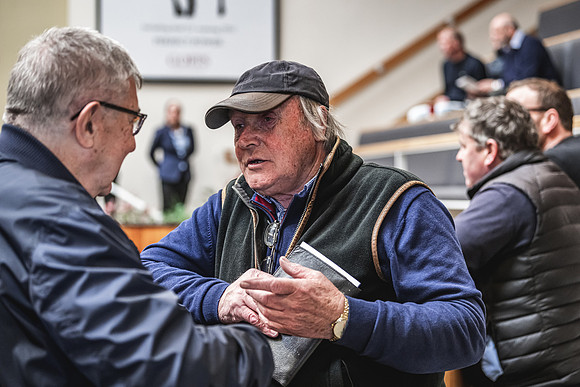 Goffs UK Breeze Up 2022-233