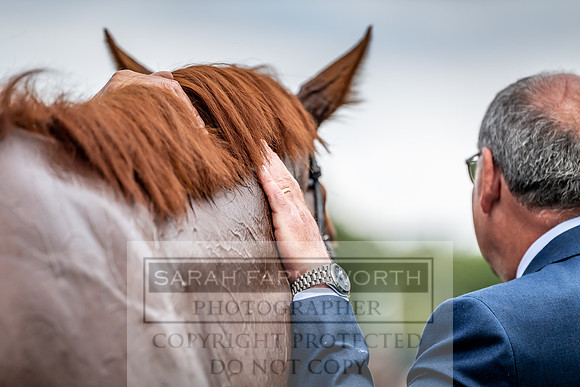 GUK Goodwood Sale 2019-36