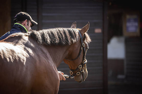 Goffs UK Breeze Up 2022-85