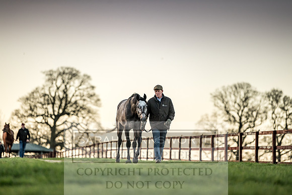 Tweenhills January 2019-69