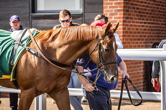 Goffs UK Breeze Up 2022-223