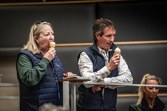 Goffs UK Breeze Up 2022-316