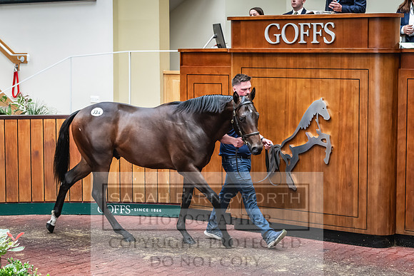 Goffs UK PY24-432