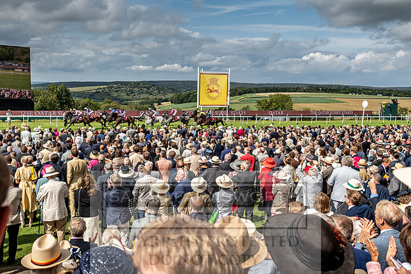 GUK Goodwood Sale 2019-160
