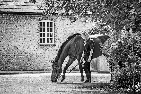 GUK Goodwood Sale 2018-13