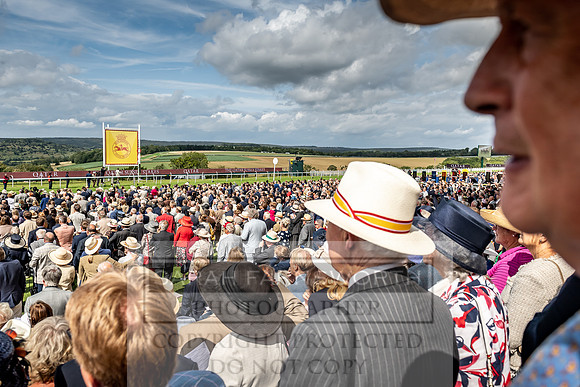 GUK Goodwood Sale 2019-145