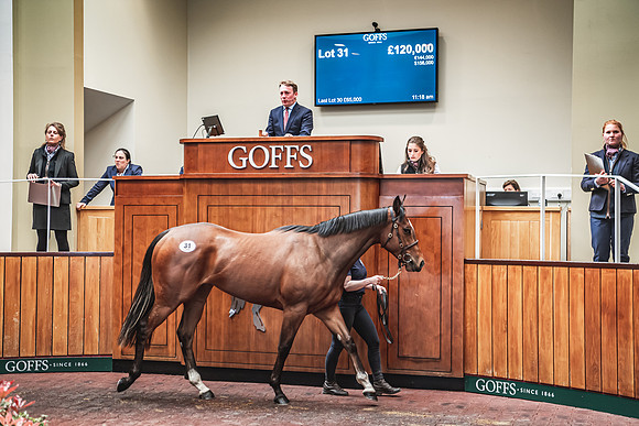 Goffs UK Breeze Up 2022-246