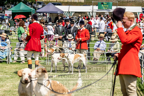 Builth Hound Show 2019-164