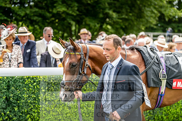 GUK Goodwood Sale 2019-78