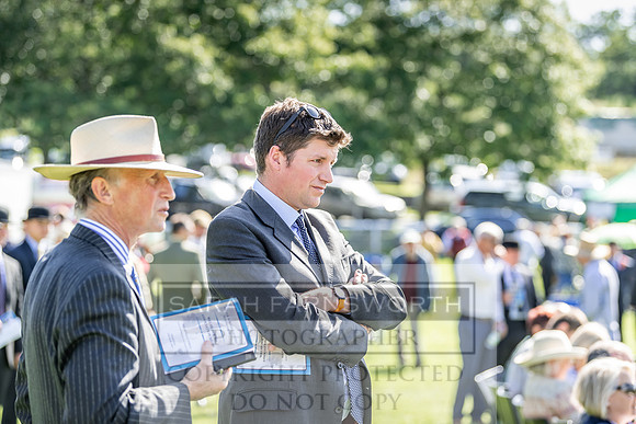 Builth Hound Show 2019-15