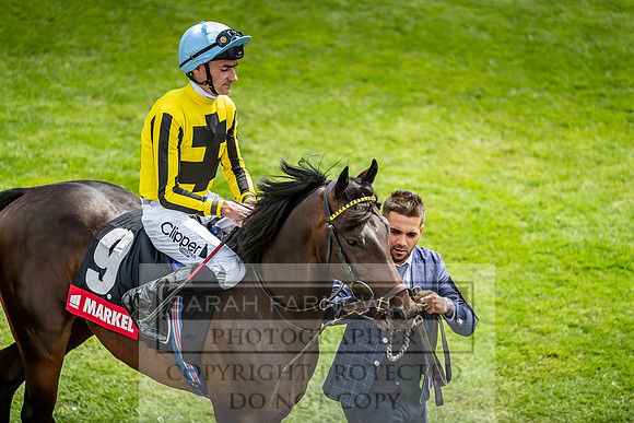 GUK Goodwood Sale 2019-90