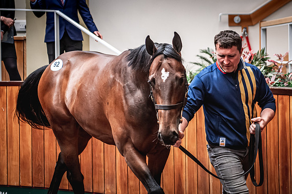 Goffs UK Breeze Up 2022-301