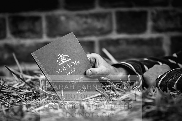 GUK Yorton Sale 2019-252