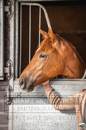 Goffs UK PY24-26