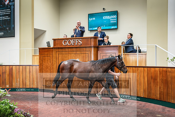 Goffs UK PY24-96