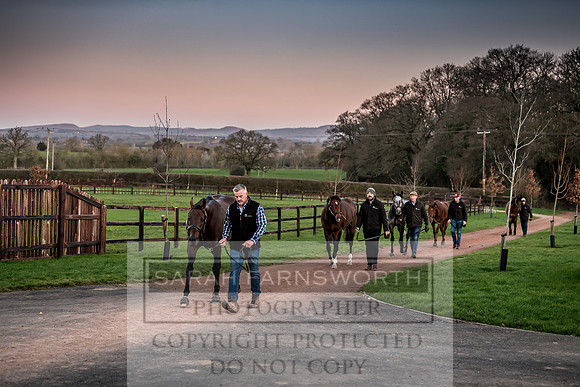 Tweenhills January 2019-41