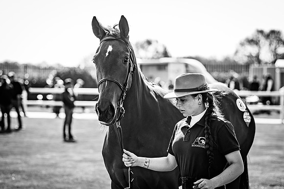 Goffs UK Breeze Up 2022-187