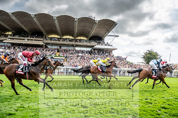 GUK Goodwood Sale 2019-108