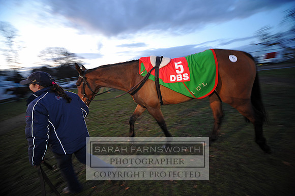 DBS NHFS12 187