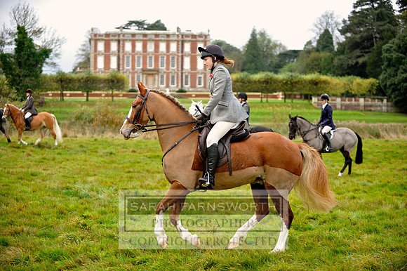 Brocklesby 021113 CF3 405