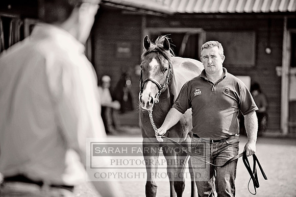 DBS YS13 CF8 085 bw
