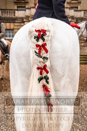 WNFH Boxing Day 2024-64