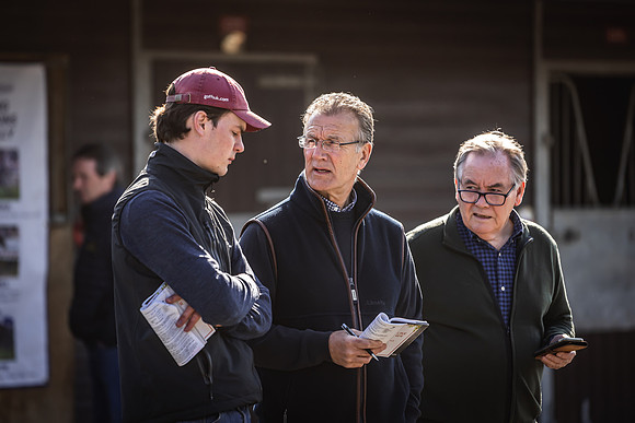 Goffs UK Breeze Up 2022-151