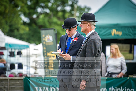 Ardingly Beagles 2016-7