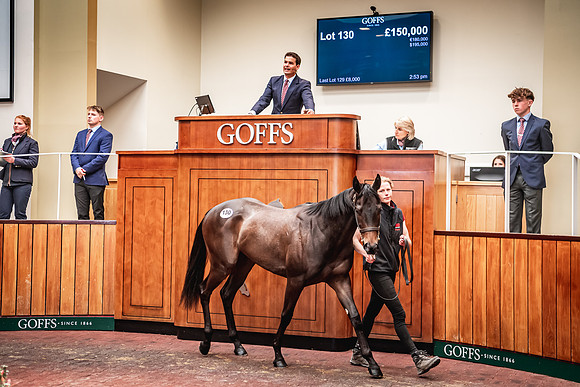 Goffs UK Breeze Up 2022-356