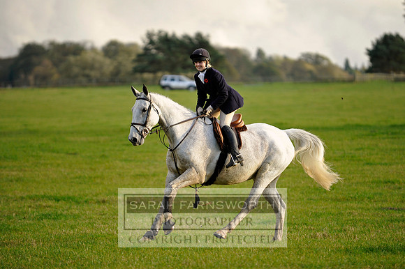 Brocklesby 021113 CF3 1237