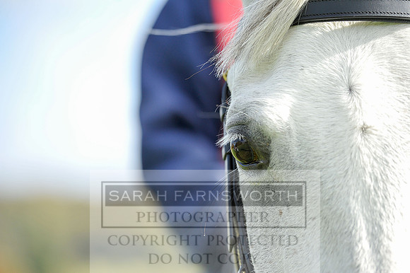 Heythrop Fun Ride 2014-508