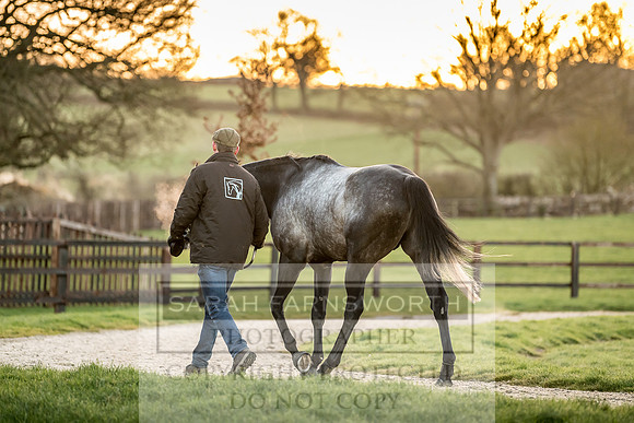 Tweenhills January 2019-70