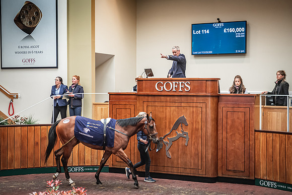 Goffs UK Breeze Up 2022-330
