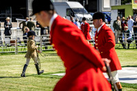 Builth Hound Show 2019-3
