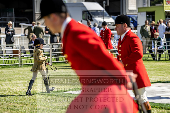 Builth Hound Show 2019-3