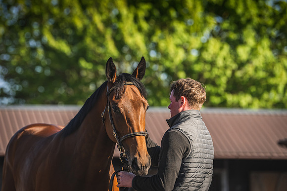 Goffs UK Breeze Up 2022-27