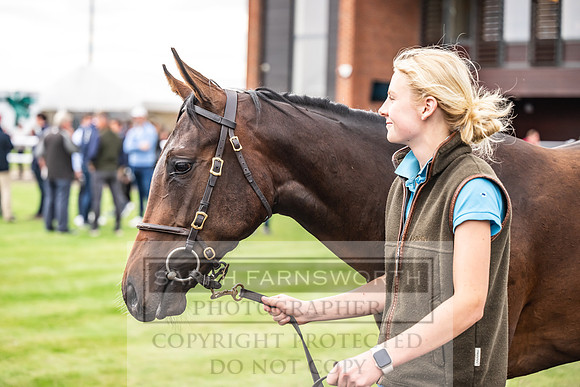 Goffs UK PY24-158