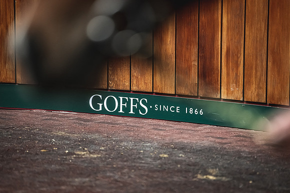 Goffs UK Breeze Up 2022-211
