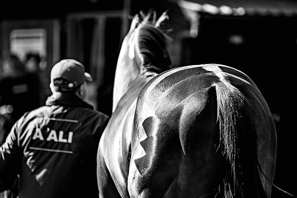 Goffs UK Breeze Up 2022-181