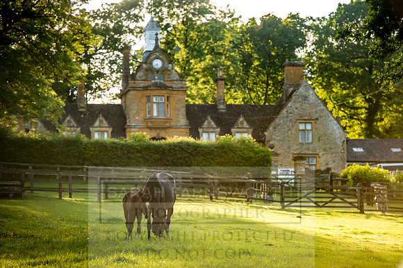 Cotswolds June 2017-4