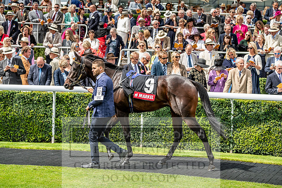 GUK Goodwood Sale 2019-87