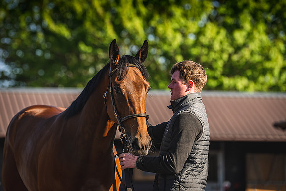 Goffs UK Breeze Up 2022-28