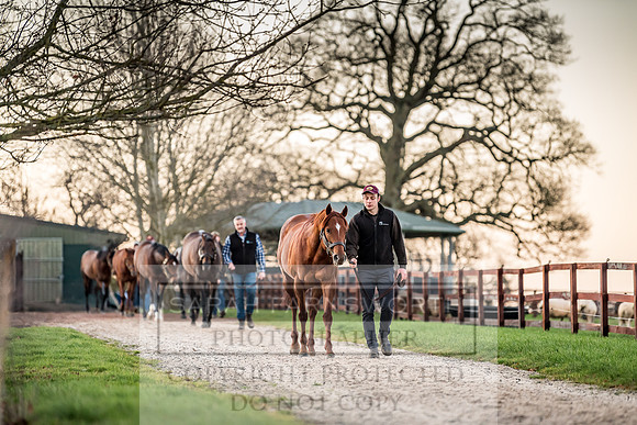 Tweenhills January 2019-30