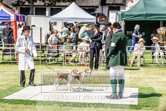 Builth Hound Show 2019-52