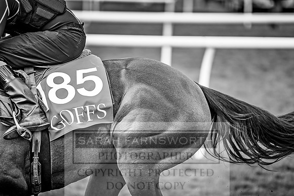 GUK Breeze Up 2018-269