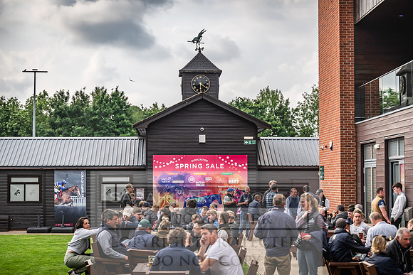 Goffs UK Spring Sale 2024-204
