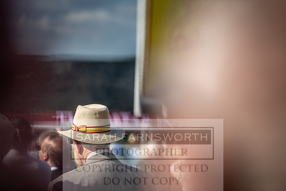 GUK Goodwood Sale 2019-188