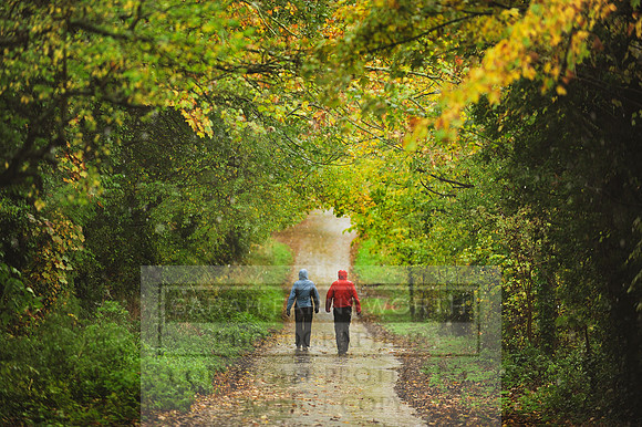 Autumn Snow 017