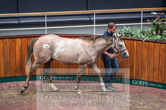 Goffs UK PY24-185