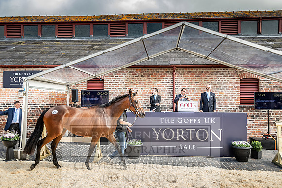 GUK Yorton Sale 2019-361